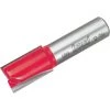 Freud Carbide Tip 5/8 In. Double Flute Straight Bit -Home Paint Tools Shop ItemImage 383201 q5vwip 66e4og gfjv0s