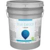 True Basics By Valspar Flat Interior Paint, 5 Gal., Tint Base -Home Paint Tools Shop ItemImage 779114 pxsc9gxxm87pcnh4mh4487mr