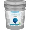 True Basics By Valspar Flat Interior Paint, 5 Gal., Clear Base -Home Paint Tools Shop ItemImage 780176 6c6vm36w5s8p7jr878hrrbp