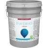 True Basics By Valspar Eggshell Interior Paint, 5 Gal. Pastel Base -Home Paint Tools Shop ItemImage 781892 x99sspghtfb8bvrhh964cs
